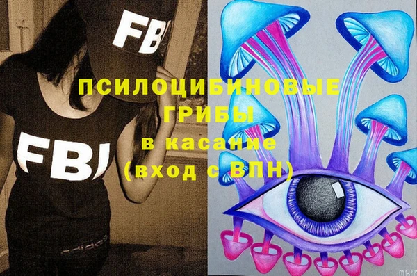 СК Гусев