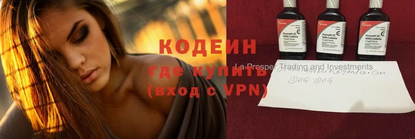 индика Горнозаводск