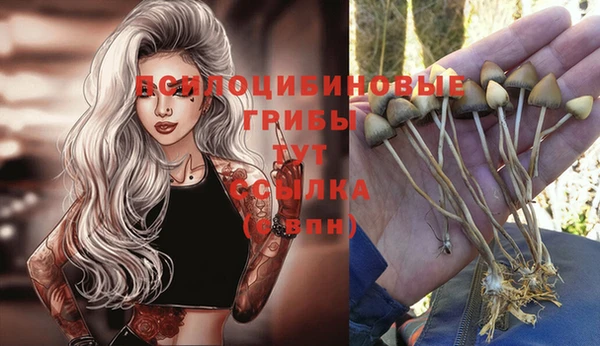 индика Горнозаводск