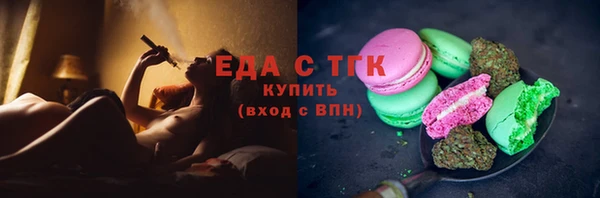 индика Горнозаводск