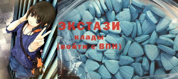 индика Горнозаводск
