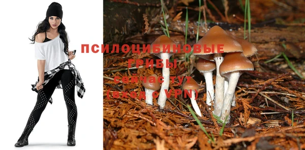 a pvp Нязепетровск