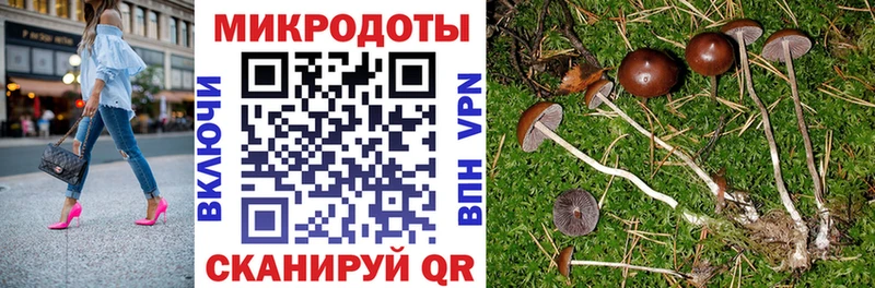 Псилоцибиновые грибы MAGIC MUSHROOMS продажа наркотиков дарк нет формула Собинка